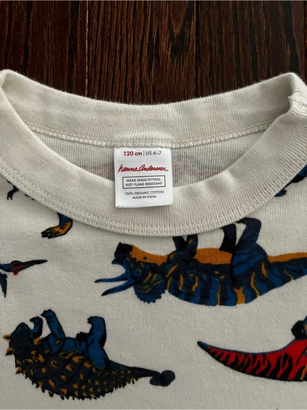 Hanna Andersson Cream Long-Sleeve Dinosaur Print Tee